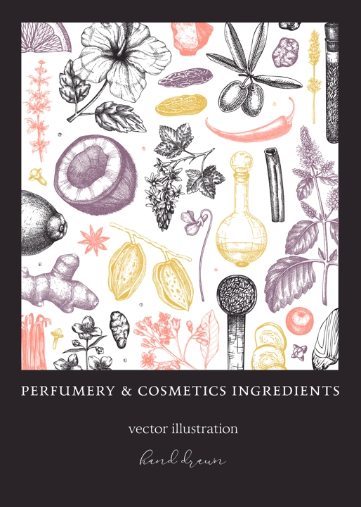 Aromatic plants flyer template. Perfumery ingredients banner. Flower, fruit, spice, herb sketches. Hand drawn vector illustration. Cosmetics packaging design